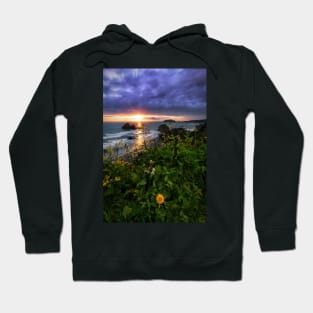 Flowers at Sunset Hoodie